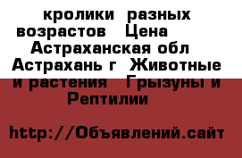 кролики  разных возрастов › Цена ­ 300 - Астраханская обл., Астрахань г. Животные и растения » Грызуны и Рептилии   